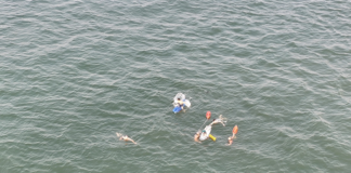 Two Swimmers Rescued From Rip Current On LBI