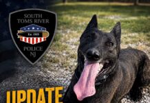 Police K9 Loki Awaiting Emergency Surgery