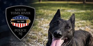 Police K9 Loki Awaiting Emergency Surgery