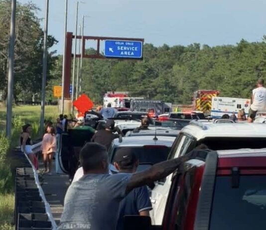 Woman Killed, Infant Survives Ocean County Parkway Crash