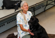 Jersey Shore Animal Shelter Looking For Volunteers