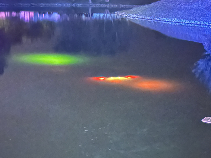 Officers Rescue Driver From Sinking Car