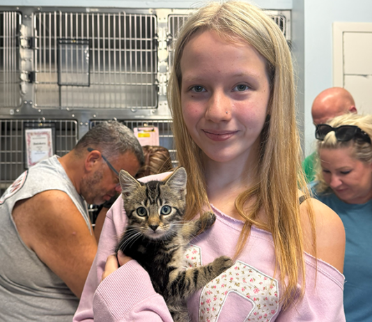 Ocean County ‘Clear The Shelters’ Event Puts Pets On The Path Home
