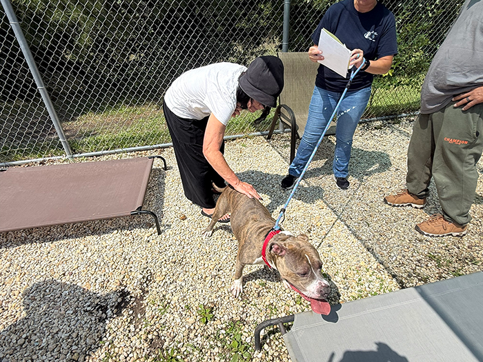 Ocean County ‘Clear The Shelters’ Event Puts Pets On The Path Home