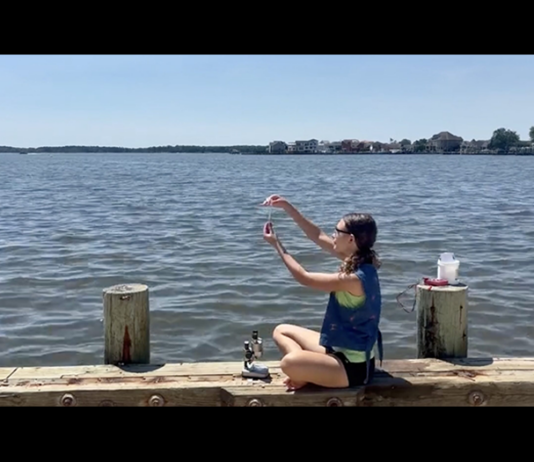 Student’s Research Could Cut Greenhouse Gas Emissions