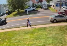 Man Charged In Theft Of Political Signs