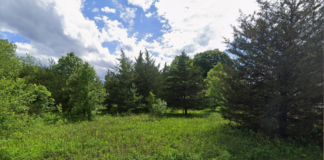 Ocean County Might Buy Grawtown Land For Open Space