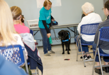 Volunteers Show How Helpful Canine Companions Can Be